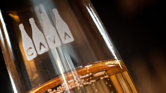 DO-Cava-San-Sebastian-Gastronomika_EDIIMA20151001_0409_4