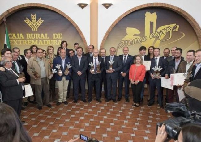 premios espiga cava 2018
