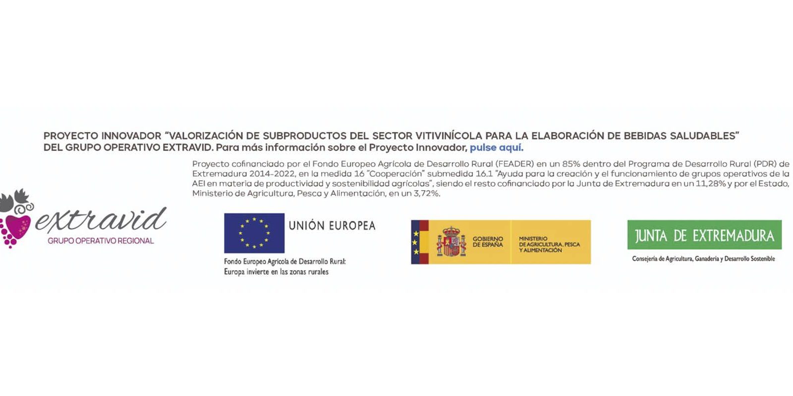 EXTRAVID_MODIFICACION_2025